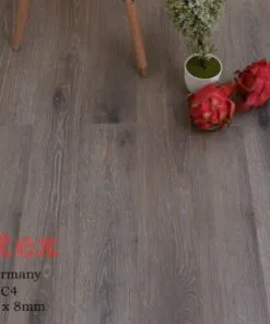 Sàn gỗ Hornitex 556-8