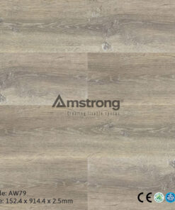 Amstrong AW79