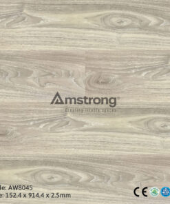 Amstrong AW8045