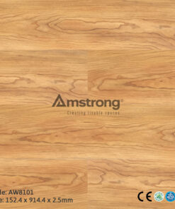 Amstrong AW8101
