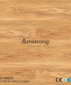 Amstrong AW8101
