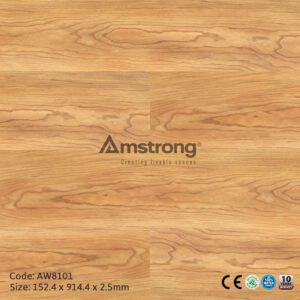 Amstrong AW8101