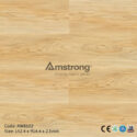 Amstrong AW8102