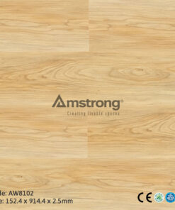 Amstrong AW8102