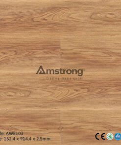 Amstrong AW8103