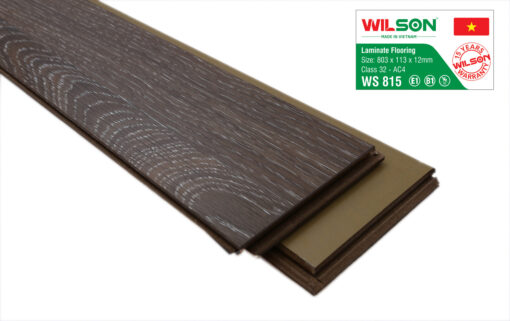 Wilson WS 815-12
