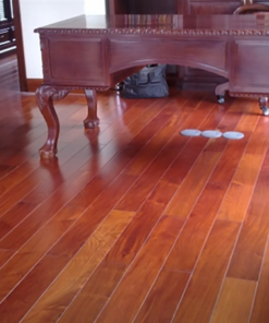 Sàn gỗ Căm Xe 600 mm