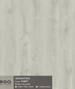 Sàn gỗ Pergo 01803