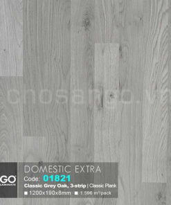 Sàn gỗ Bỉ Pergo Domestic Extra 01821