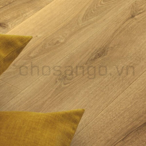 Sàn gỗ Bỉ Pergo 3589