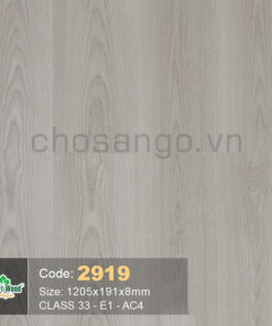 Sàn gỗ SmartWood 2919