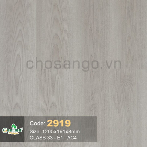 Sàn gỗ SmartWood 2919