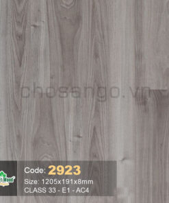 Sàn gỗ Chất lượng SmartWood 2923
