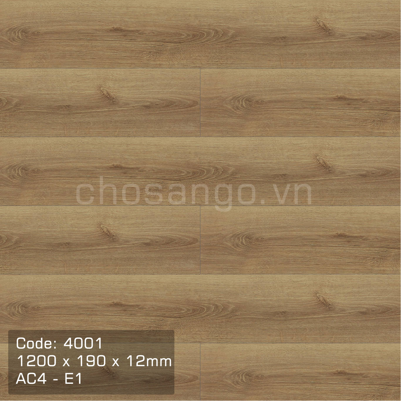 Sàn gỗ An Cường 4001