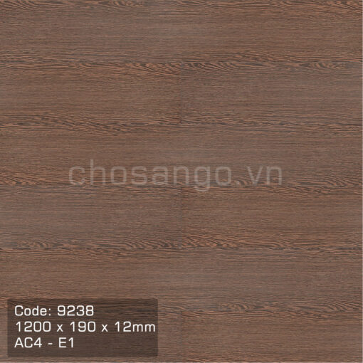 Sàn gỗ giá rẻ An Cường 9238