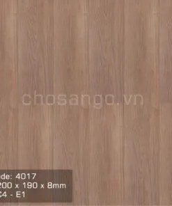 Sàn gỗ An Cường 4017 chất lượng