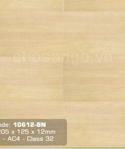 Sàn gỗ chính hãng Thaixin 10612-BN 12mm