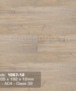 Sàn gỗ Cao cấp Thaixin 1067-12 dày 12mm