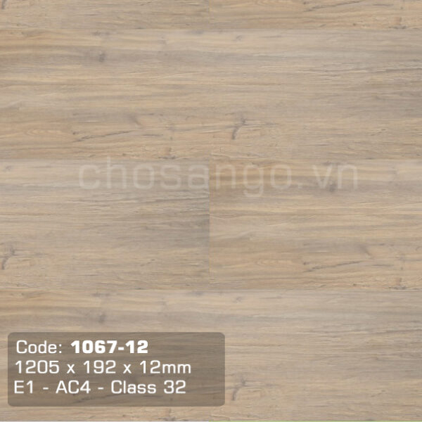 Sàn gỗ Cao cấp Thaixin 1067-12 dày 12mm