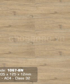 Sàn gỗ chính hãng Thaixin 1067-BN nhập khẩu 100%