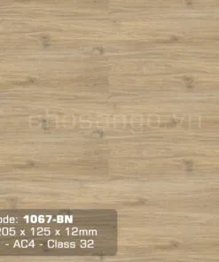 Sàn gỗ chính hãng Thaixin 1067-BN nhập khẩu 100%