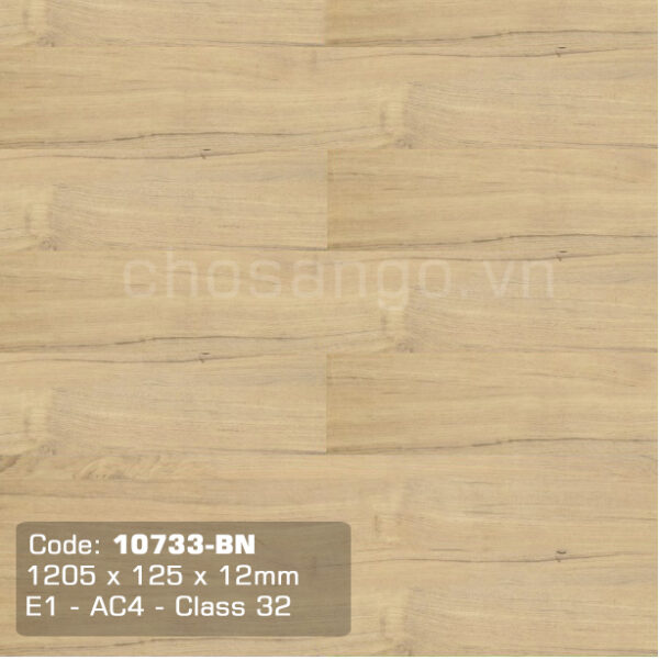 Sàn gỗ cao cấp Thaixin 10733-BN dày 12mm