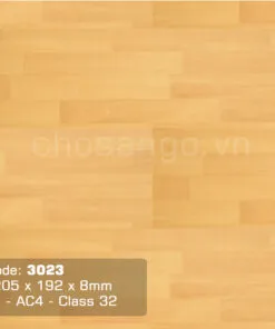 Sàn gỗ Cao Cấp Thaixin 3023