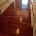 Sàn gỗ Tự nhiên Lim Nam Phi 600mm