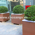 Chậu hoa gỗ nhựa ngoài trời Tecwood