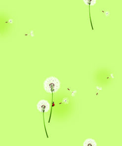 Giấy dán tường trẻ em Hàn Quốc Dream World A5063