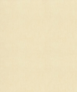 Giấy dán tường Hàn Quốc Rabia II 59015-1